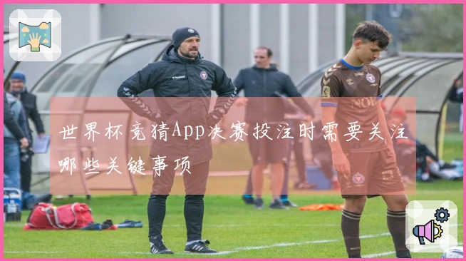 世界杯竞猜App决赛投注时需要关注哪些关键事项