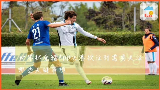 世界杯竞猜App决赛投注时需要关注哪些关键事项